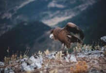 Costa Rica Parties: Living La Vida Loca